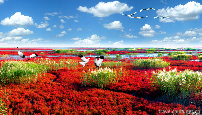 Red-Beach-Scenic-Area-1
