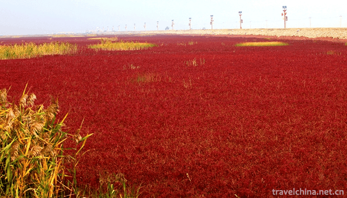 Red-Beach-Scenic-Area-8
