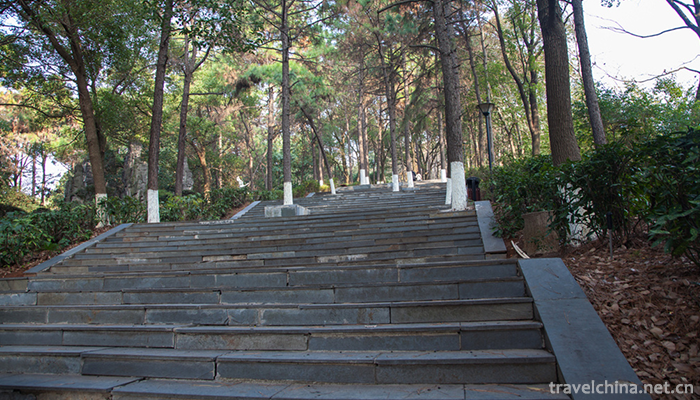Hunan-Forest-Botanical-Garden-3