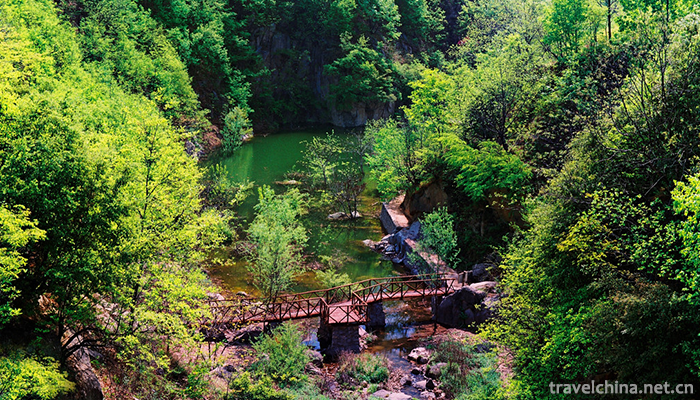 Thrush-valley-ecological-tourist-area-5