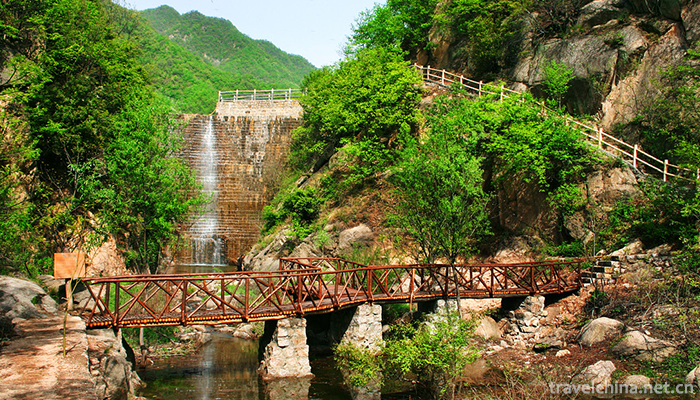 Thrush-valley-ecological-tourist-area-6