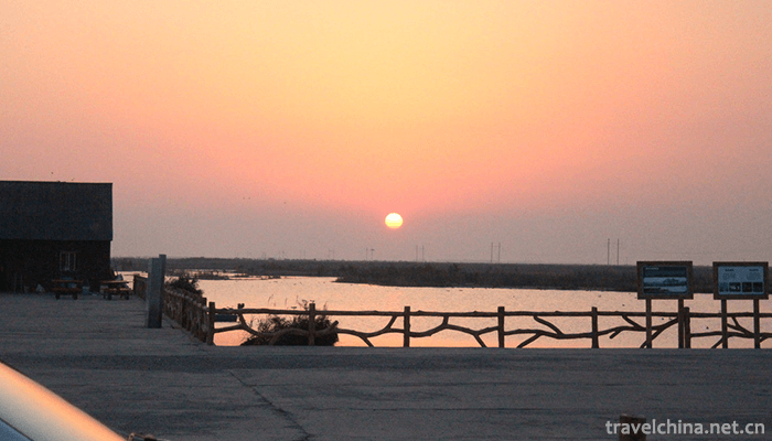 Yellow-River-Estuary-Ecotourism-Area-2