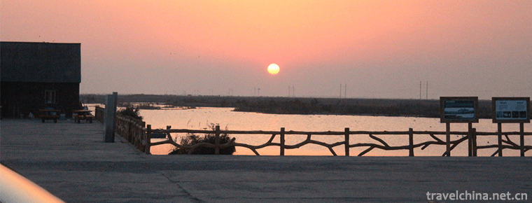 Yellow River Estuary Ecotourism Area 