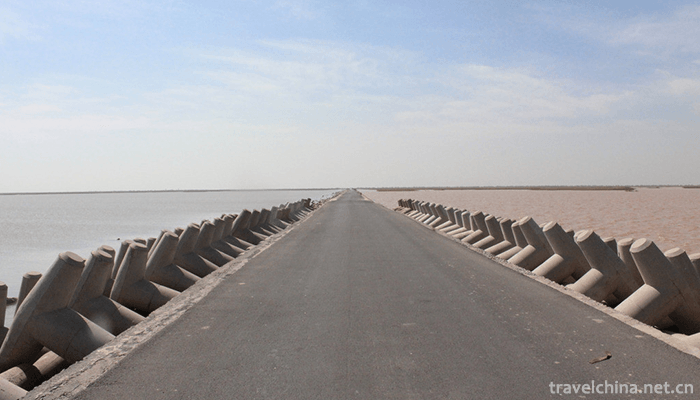 Yellow-River-Estuary-Ecotourism-Area-3