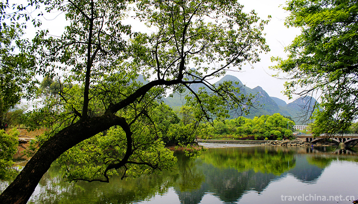 Jiangwan-Scenic-Area-of-Wuyuan-5
