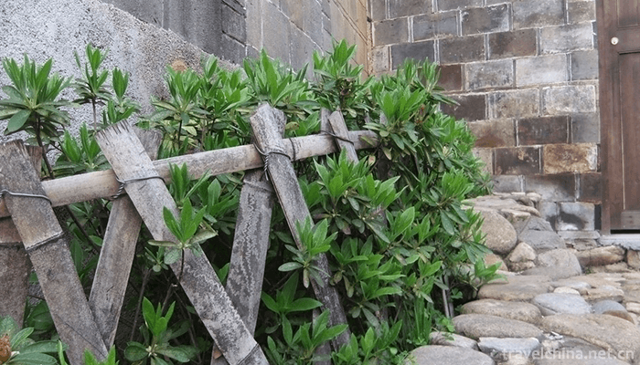 Jianglangshan-28du-Tourist-Area-1