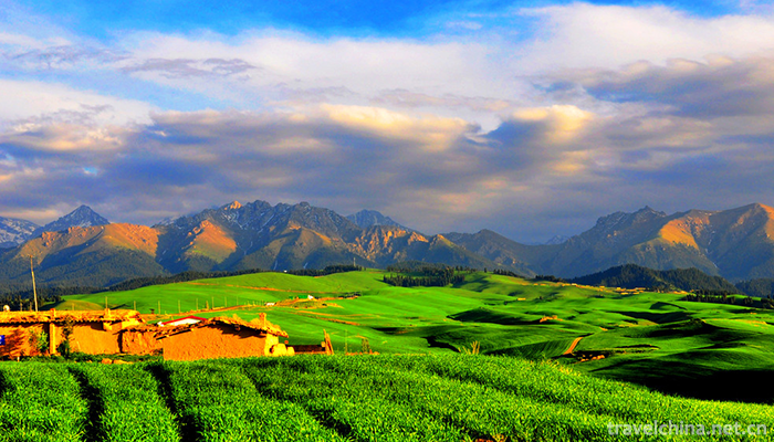 Jiangbulak-Scenic-Area-2
