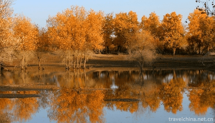 Jinhu-Yang-National-Forest-Park-2