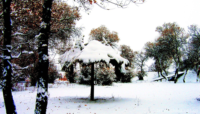 Jinhu-Yang-National-Forest-Park-3