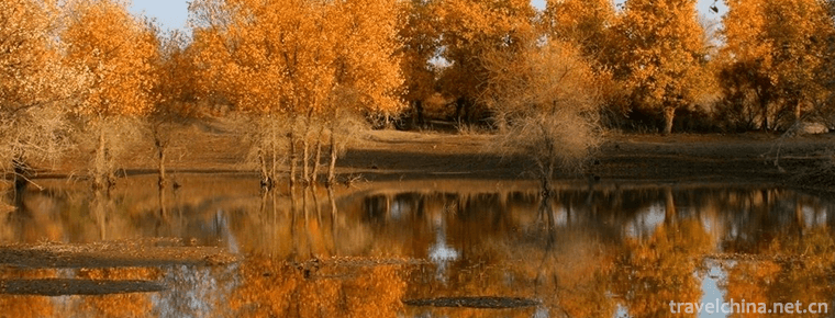 Jinhu Yang National Forest Park