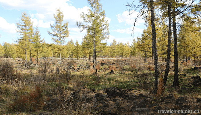 Zhalantun-Scenic-Area-8
