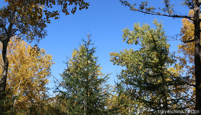 Zhalantun-Scenic-Area-3