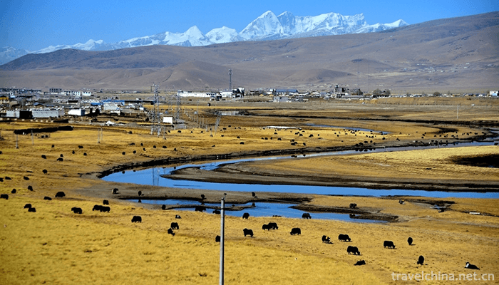 Qinghai-Kekexili-National-Nature-Reserve-Hoh-Xil-15