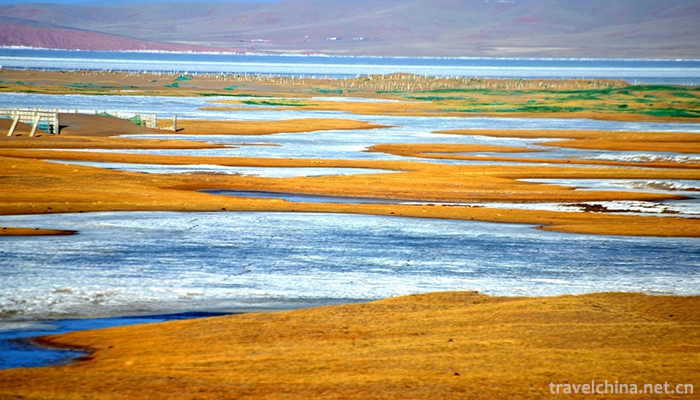 Qinghai-Kekexili-National-Nature-Reserve-Hoh-Xil-17