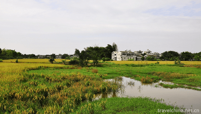Kaiping-Diaolou-and-Villages-4