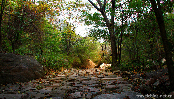 Limutai-Natural-Scenic-Area-12