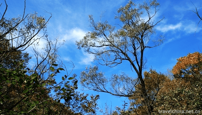 Limutai-Natural-Scenic-Area-1