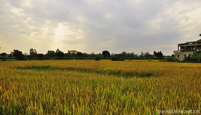 Kaiping-Diaolou-and-Villages-7