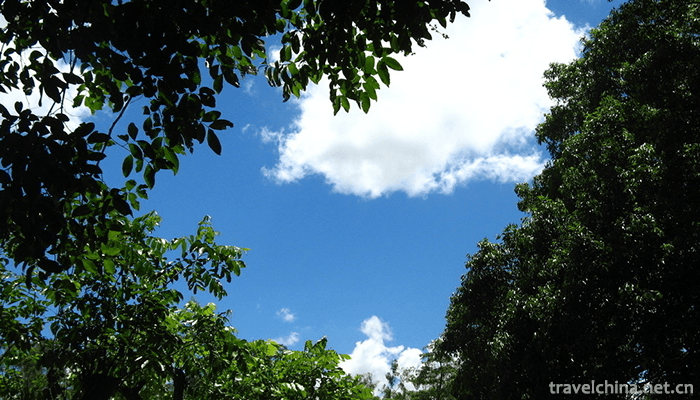 Liangfengjiang-National-Forest-Park-4