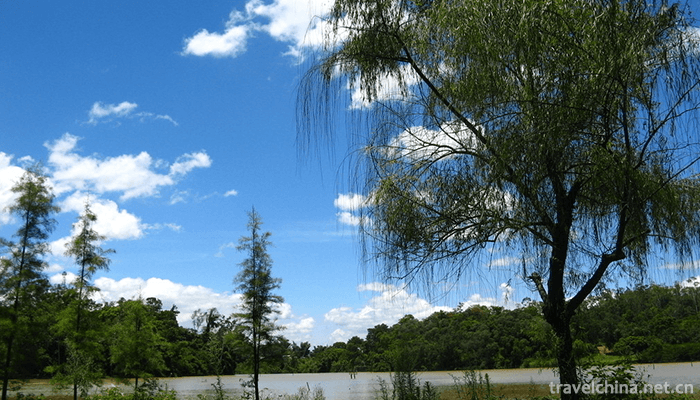 Liangfengjiang-National-Forest-Park-2