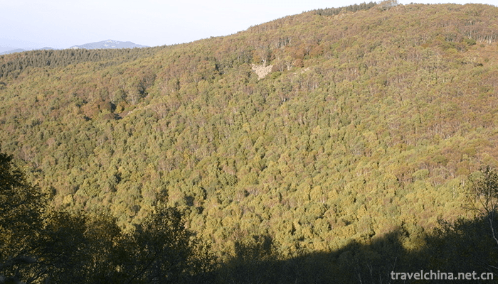 Liaoheyuan-National-Forest-Park-3