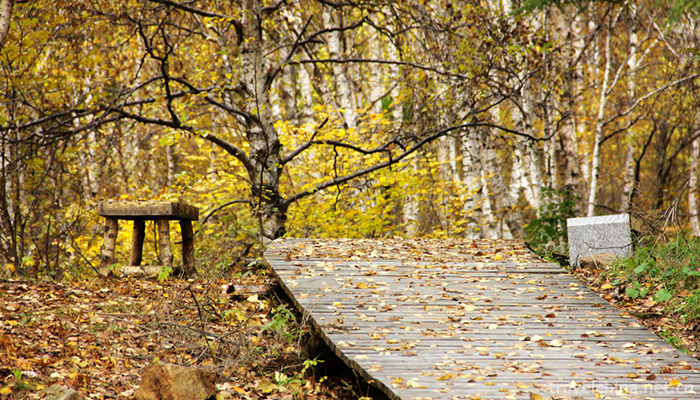Liaoheyuan-National-Forest-Park-4