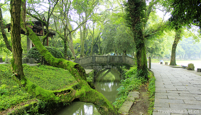 Linqu-canal-7
