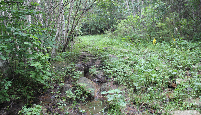 Liaoheyuan-National-Forest-Park-1