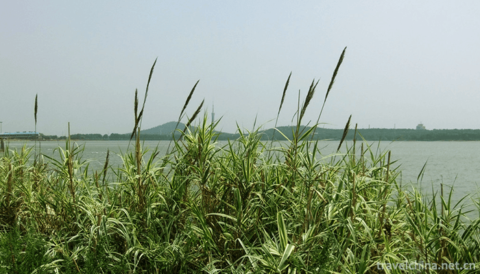 Longzi-Lake-Scenic-Area-1