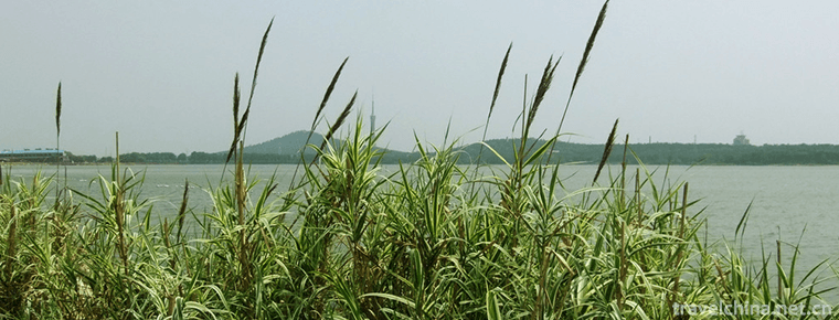 Longzi Lake Scenic Area 