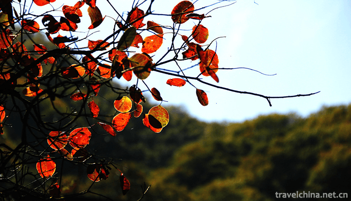 Muzhaling,-Luoyang-8