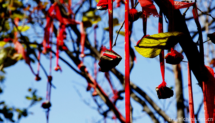 Muzhaling,-Luoyang-13