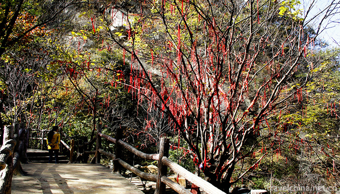 Muzhaling,-Luoyang-22