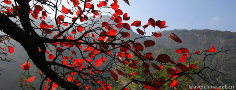 Longyu Bay National Forest Park 