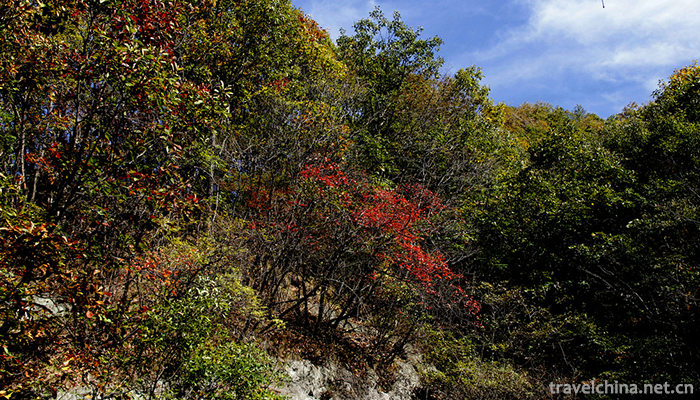 Muzhaling,-Luoyang-12