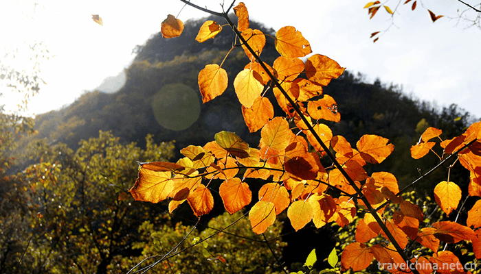 Muzhaling,-Luoyang-18
