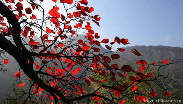 Longyu-Bay-National-Forest-Park-2