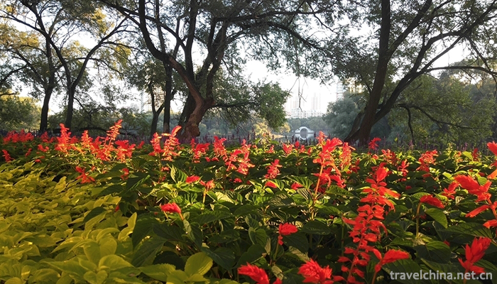 Longsha-Park-3