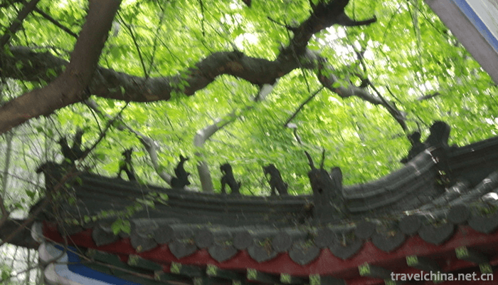 Tsing-Tan-Temple-8