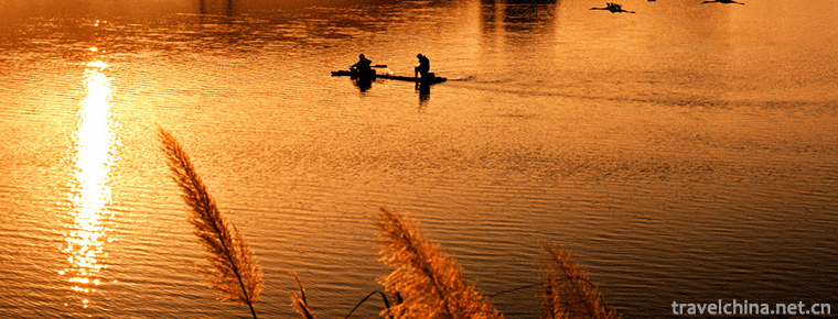 Poyang Lake National Nature Reserve 