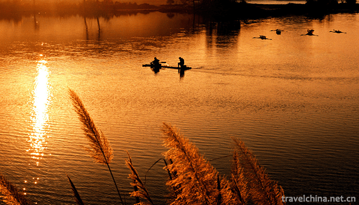 Poyang-Lake-National-Nature-Reserve-1