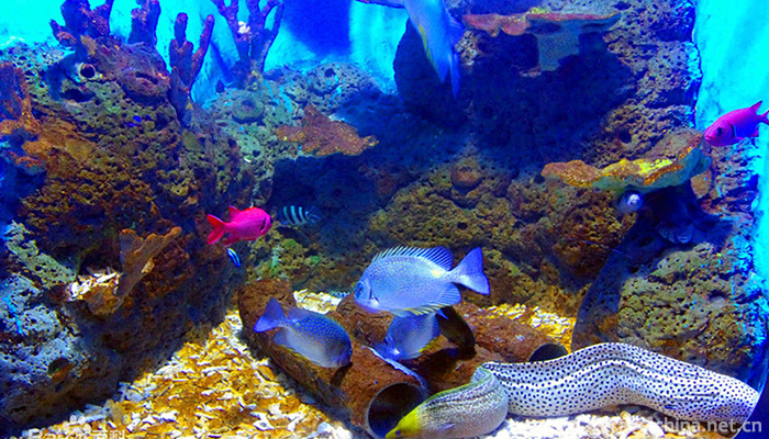 Quancheng-Marine-Polar-World-1