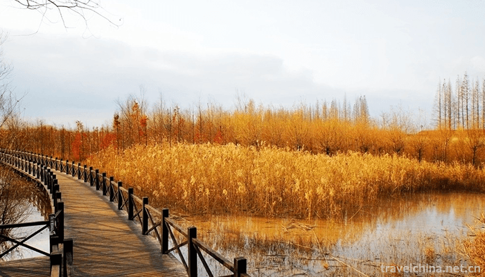 Xisha-Wetland-of-Pearl-Lake-1
