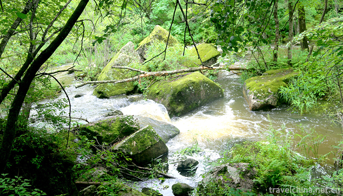 Maolangou-National-Forest-Park-6
