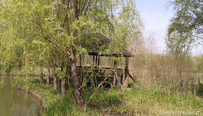 Qinhu-National-Wetland-Park-2