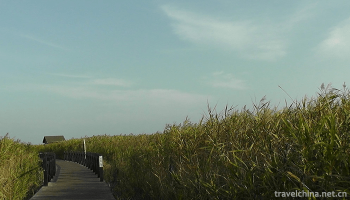 Xisha-Wetland-of-Pearl-Lake-7