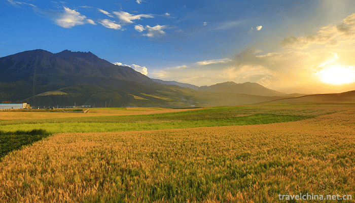 Qilian-Mountain-National-Nature-Reserve-3