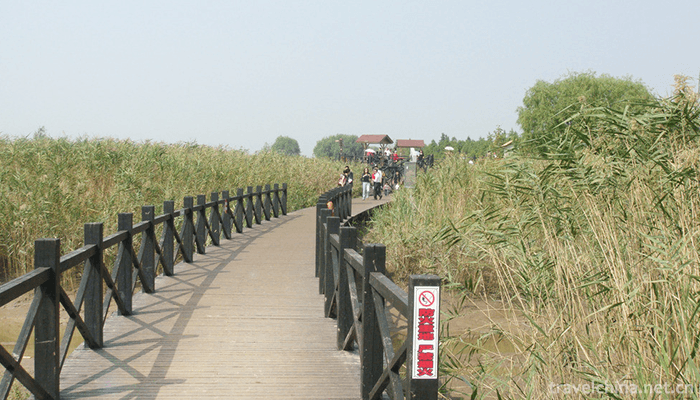 Xisha-Wetland-of-Pearl-Lake-5