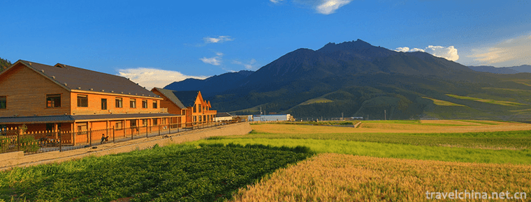 Qilian Mountain National Nature Reserve 