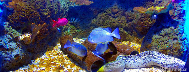 Quancheng Marine Polar World 